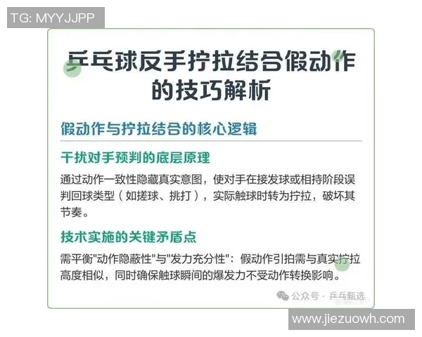 乒乓球新手必看：提升耐力的全面训练与技巧指南