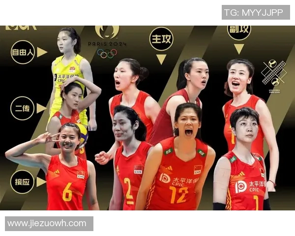 南京排球队状态分析与未来展望聚焦排球运动发展新动向