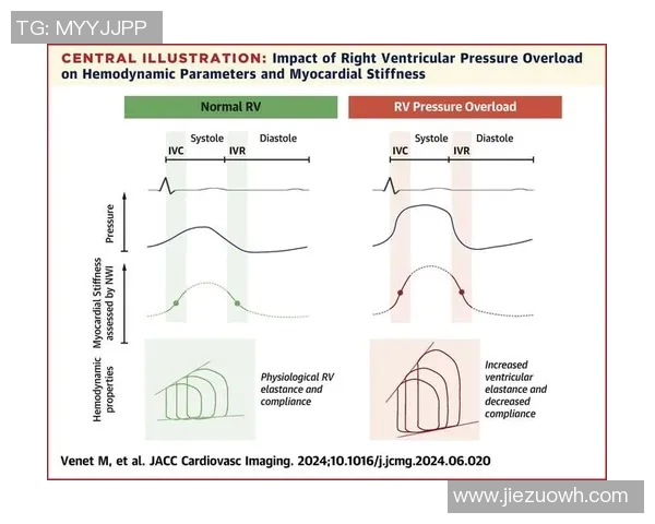 西安篮球队在联合会杯中的个人能力分析与表现评估