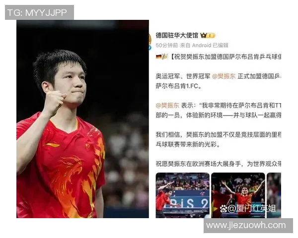 乒乓球耐力实力榜单权威发布揭示运动员真实竞技水平与潜力