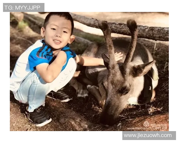 对话周静：回顾她的篮球生涯与成长历程的深度访谈