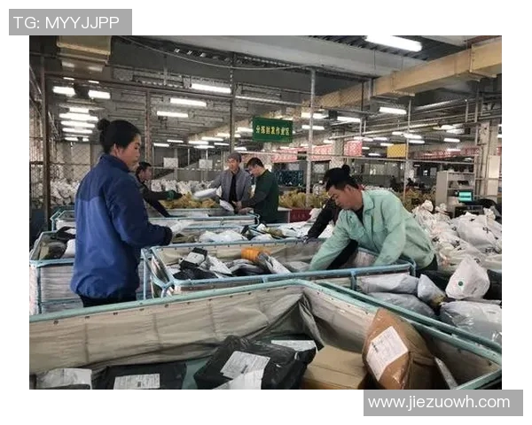 对话赵伟：回顾网球生涯中的挑战与成就分享