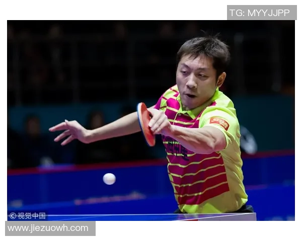 西安排球队在锦标赛积分榜上以80分稳居第一位置展现强劲实力