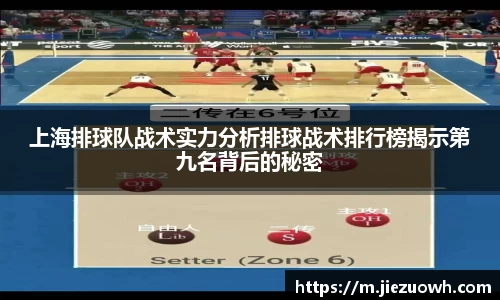哈哈哈体育