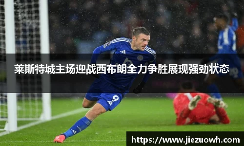 哈哈哈体育