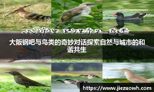 大阪钢吧与鸟类的奇妙对话探索自然与城市的和谐共生
